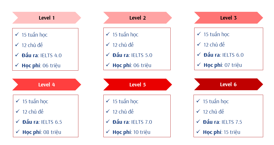 Lộ trình học Tiếng Anh Thuyết Trình YOURE