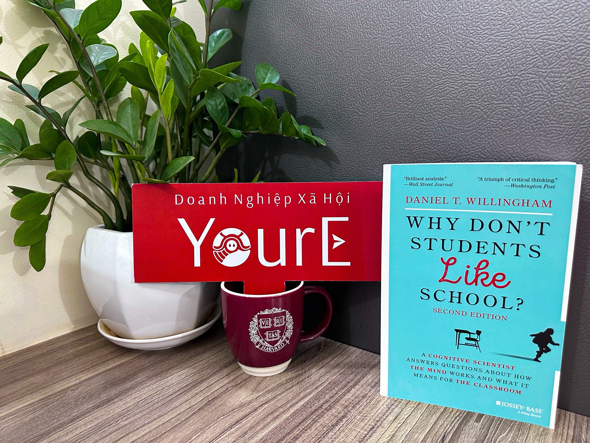 Why Don T Students Like School Tб Chб C Xгј Hб I Giгўo Dб ґc дђг O Tбєўo