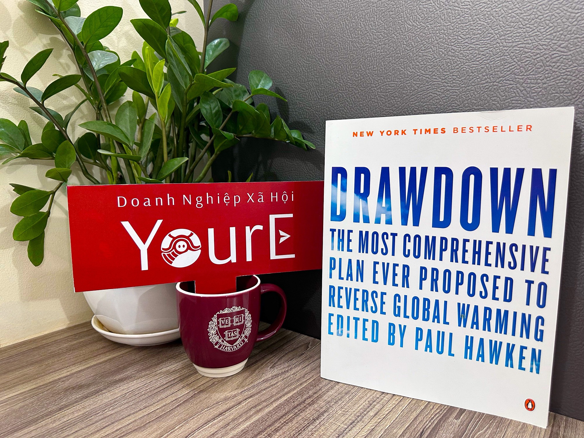 drawdown-dnxh-your-e