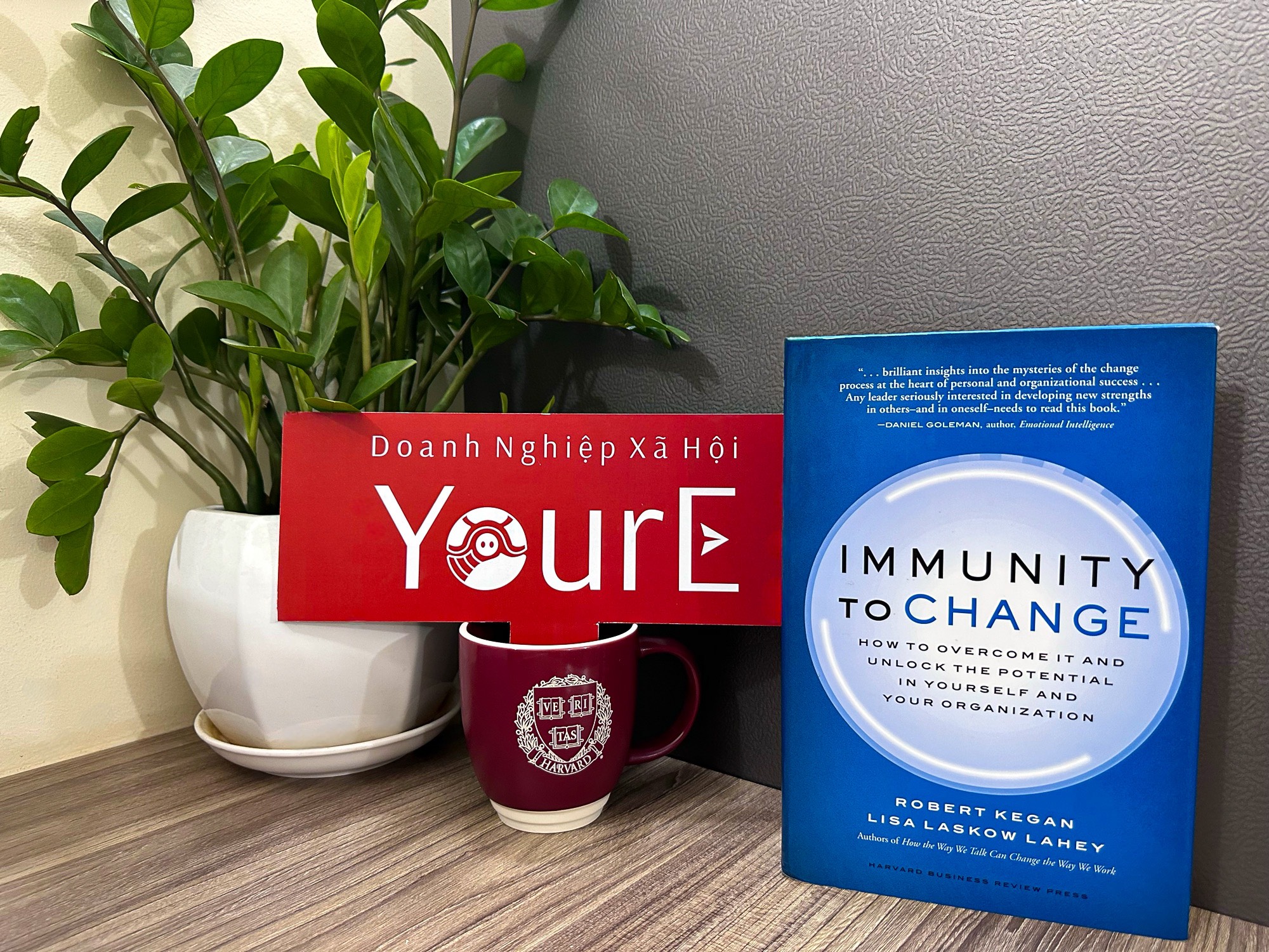 Immunity to change - Tổ chức Xã Hội Giáo Dục & Đào Tạo YOUREORG